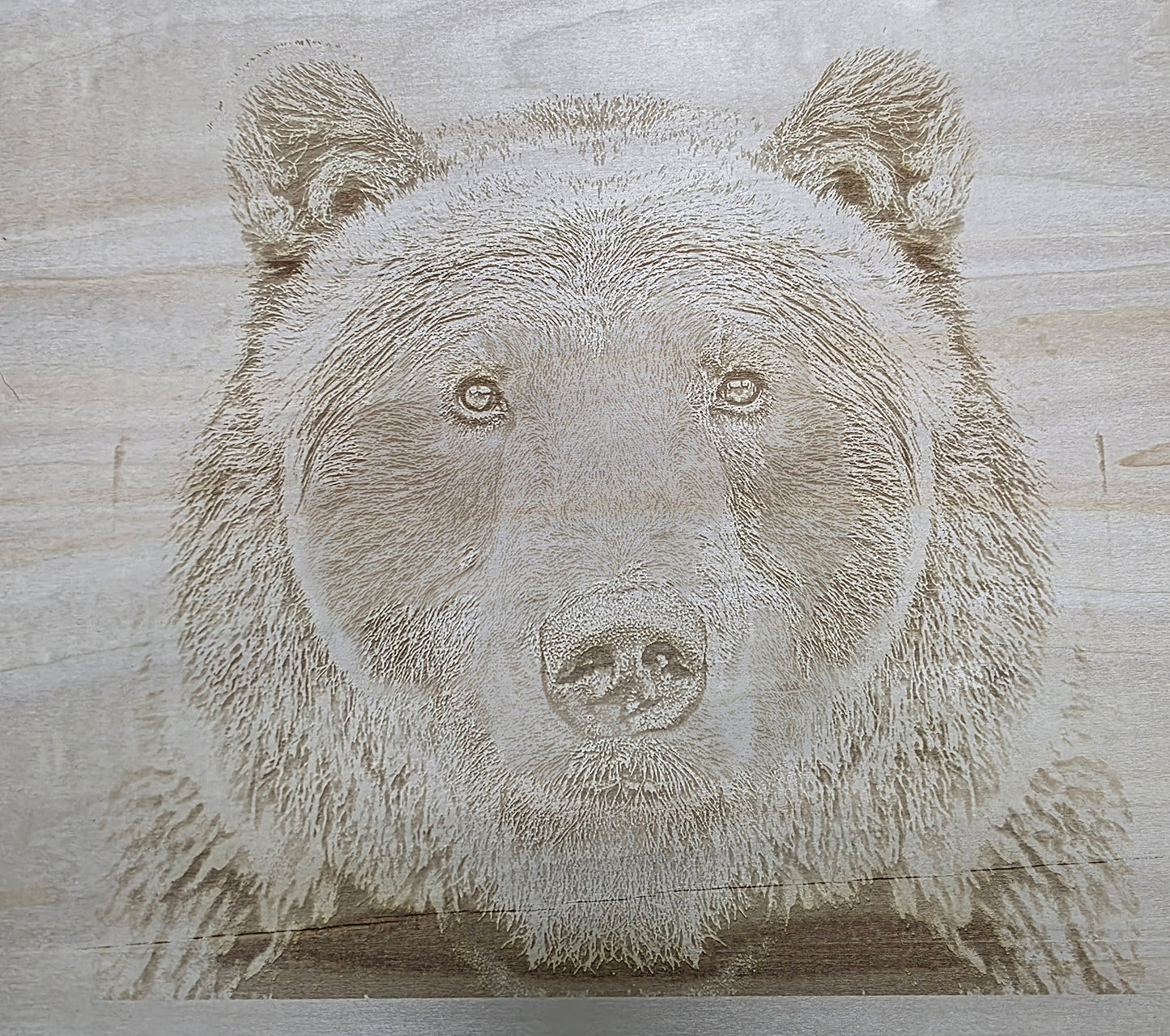 Engraved Wood Wildlife Pictures