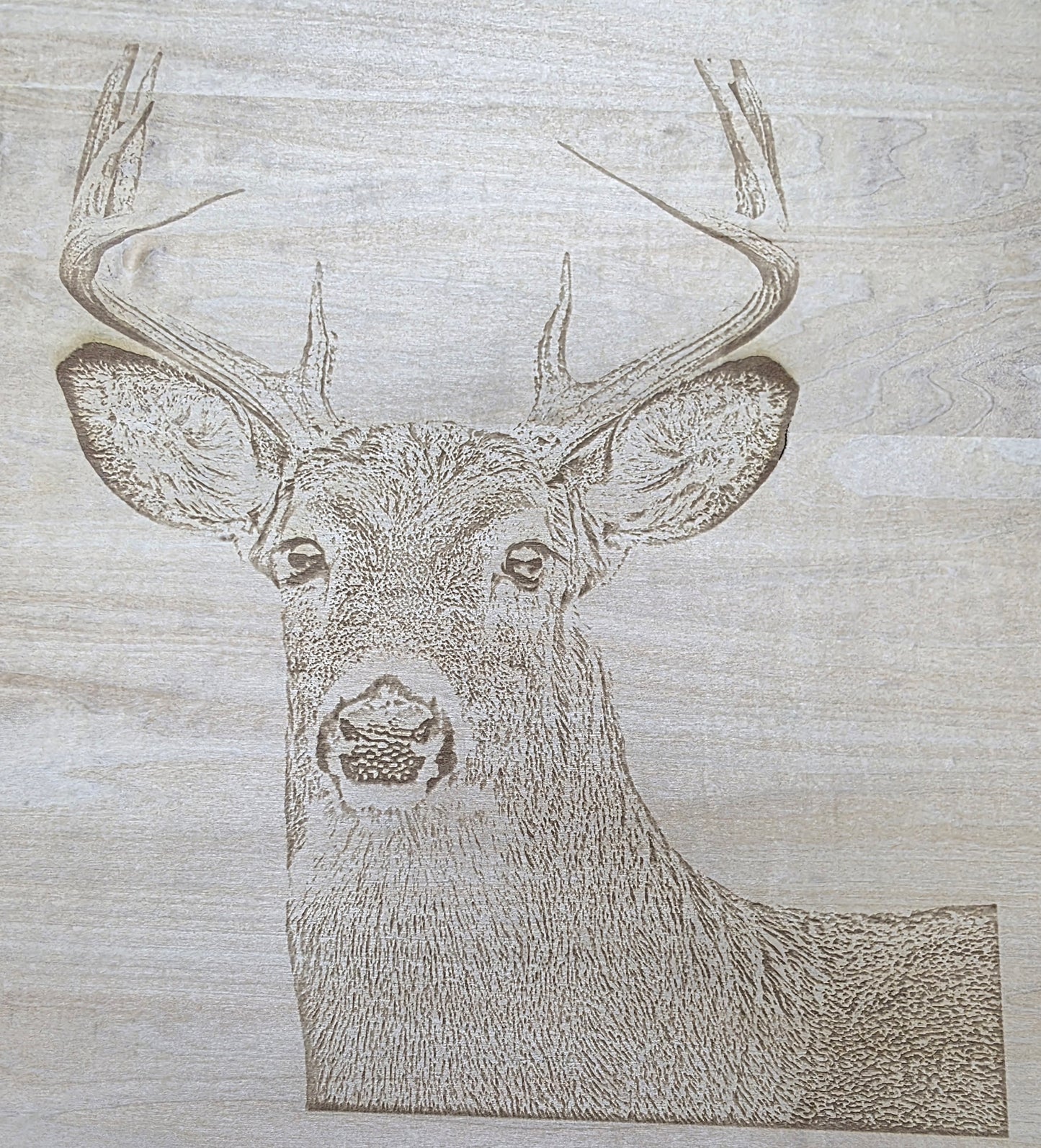 Engraved Wood Wildlife Pictures