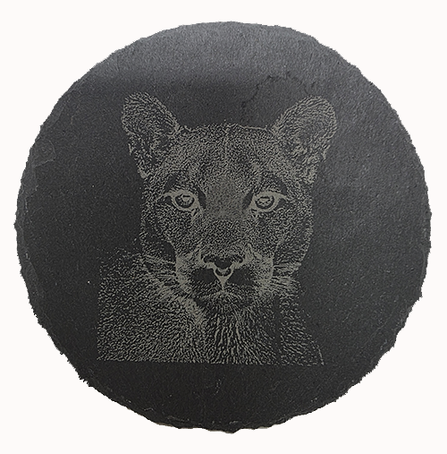 Slate Wildlife Coasters Set of Four