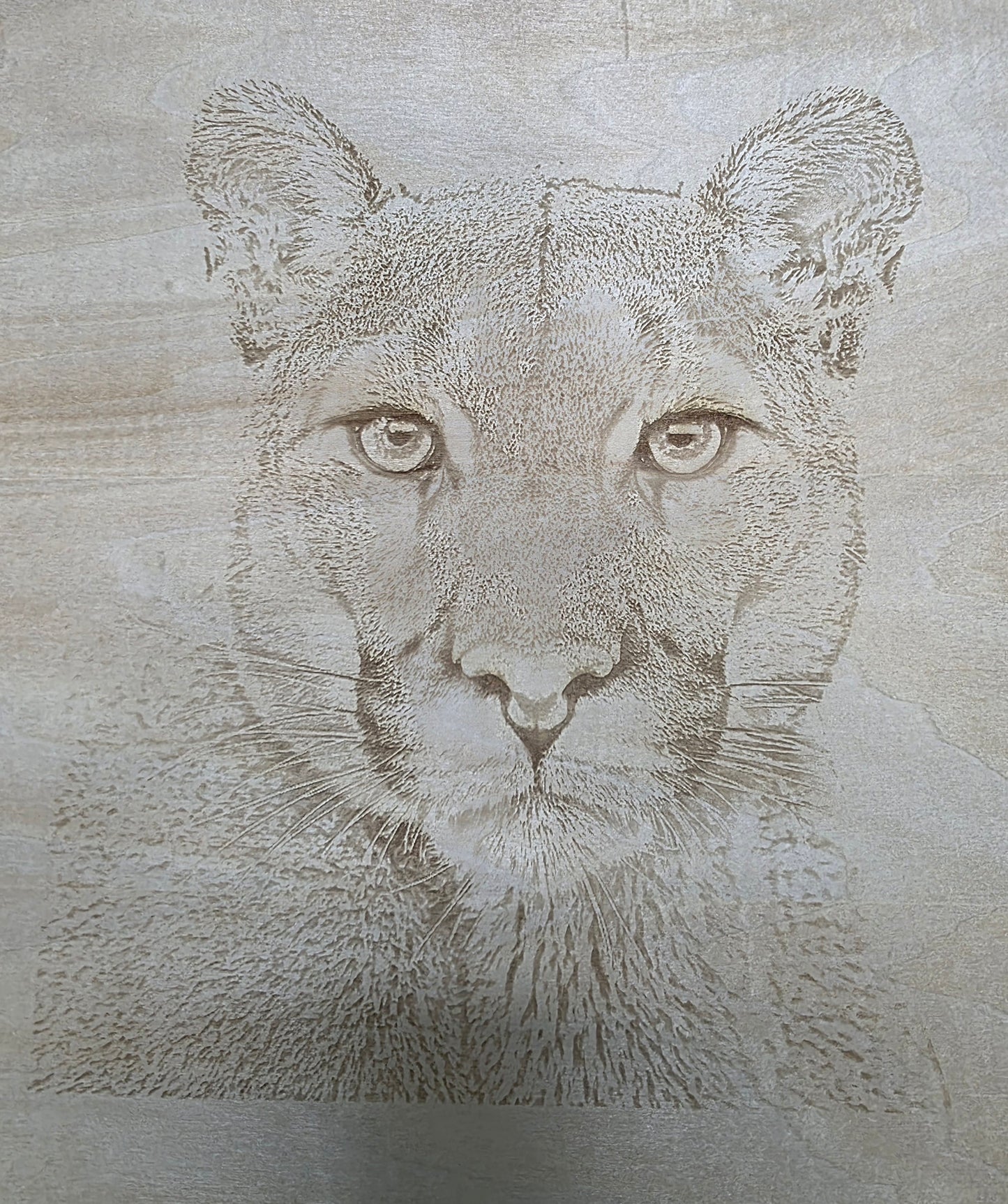 Engraved Wood Wildlife Pictures