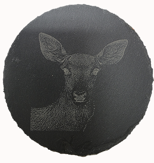 Slate Wildlife Coasters Set of Four