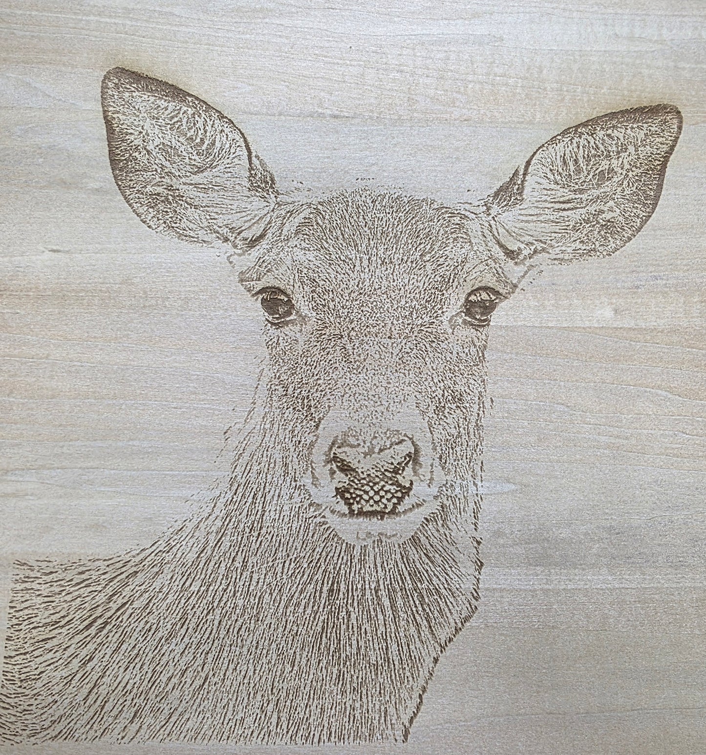 Engraved Wood Wildlife Pictures