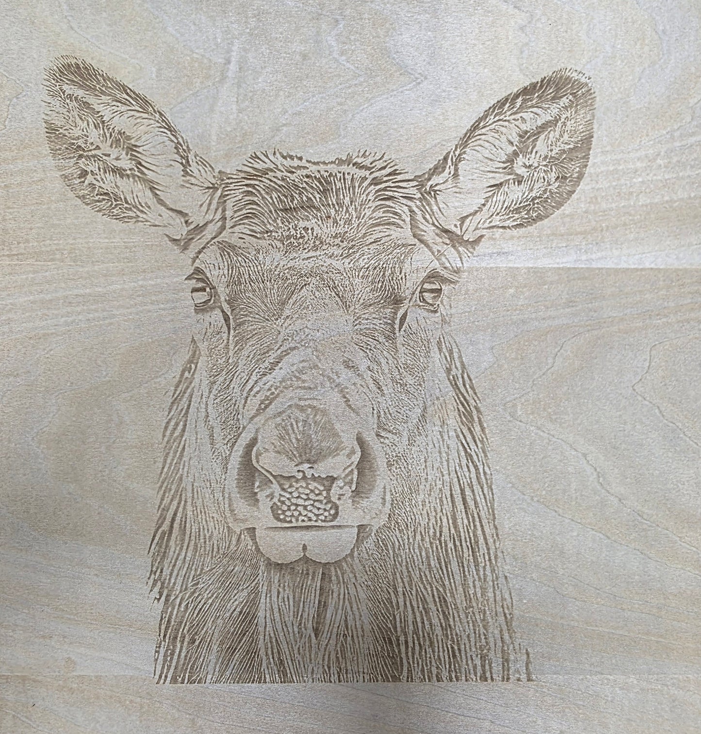Engraved Wood Wildlife Pictures