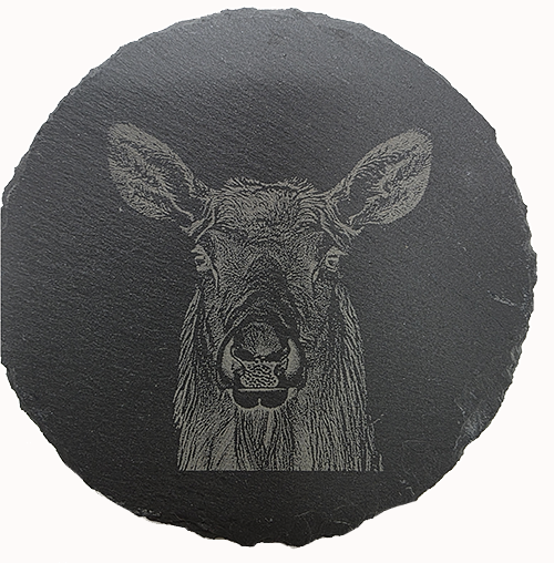 Slate Wildlife Coasters Set of Four