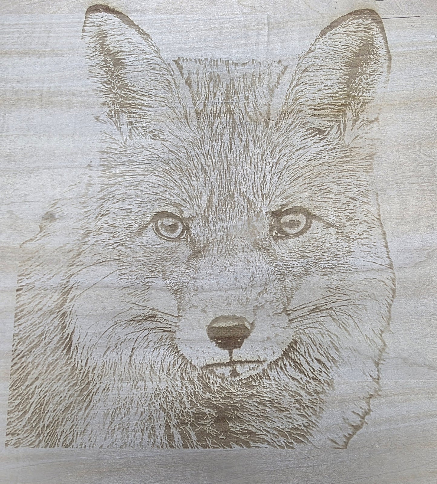 Engraved Wood Wildlife Pictures