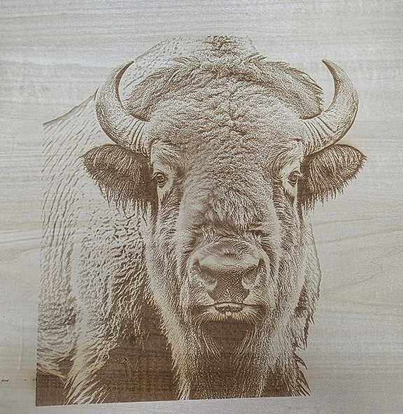 Engraved Wood Wildlife Pictures