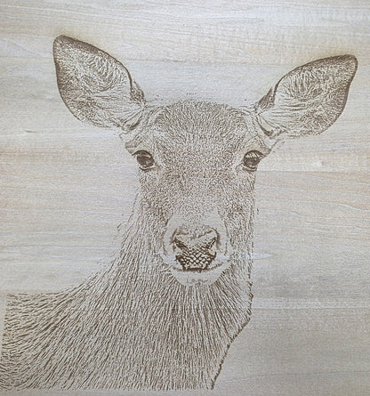 Engraved Wood Wildlife Pictures