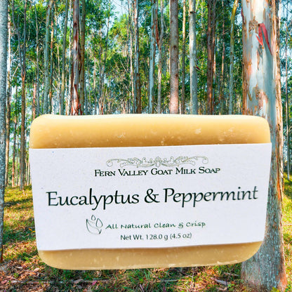Handmade Goat Milk Soap | All Natural Eucalyptus & Peppermint Soap