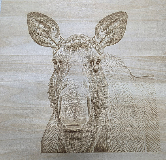 Engraved Wood Wildlife Pictures